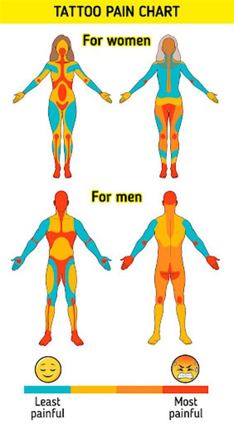 Tattoo Pain Chart (Female And Male)